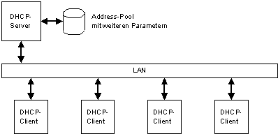 DHCP-Server und Clients